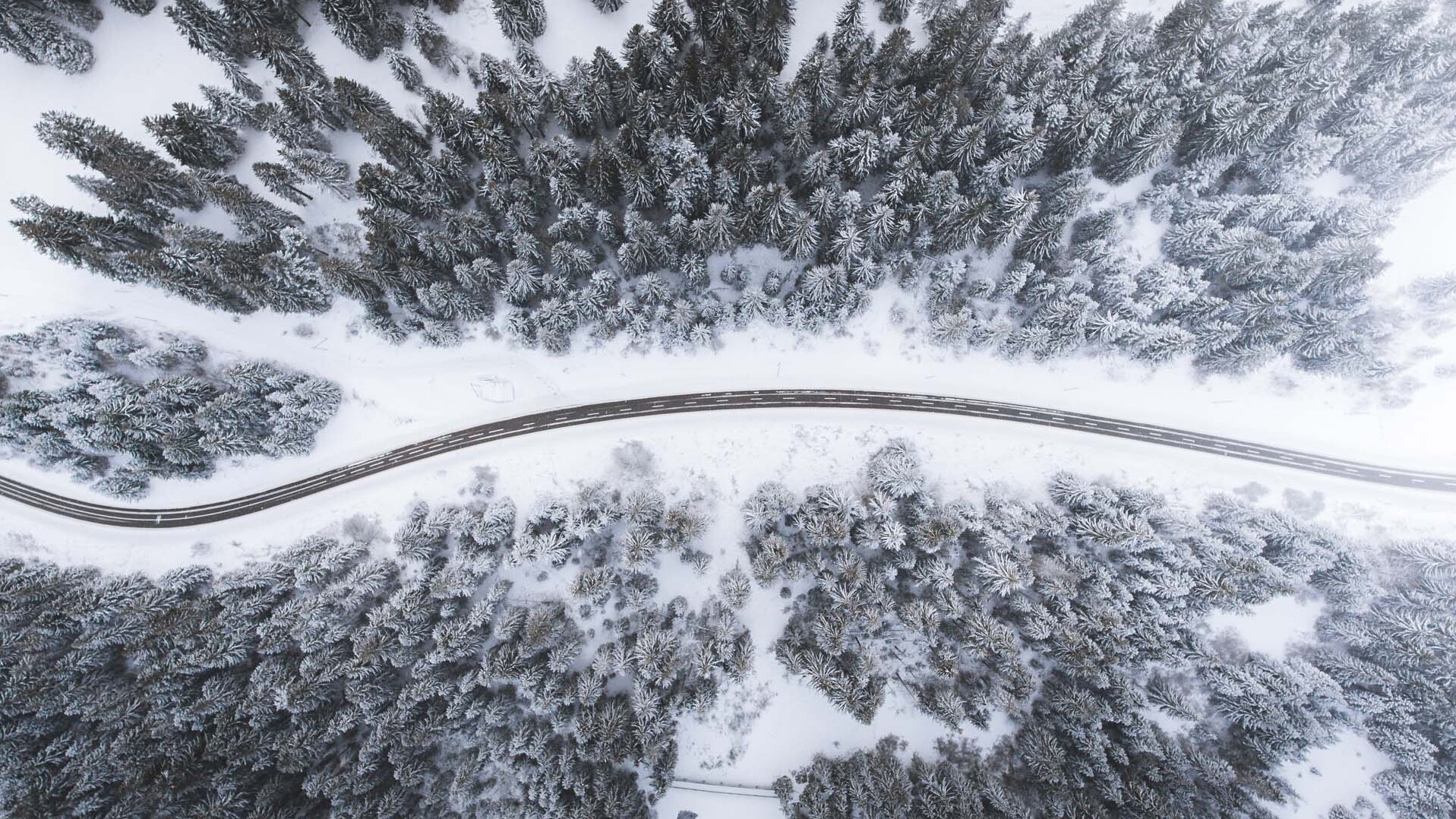 Bird eye’s view!, by Kimon Maritz